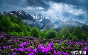 伺候婆婆十二年，拆迁款全给了她女儿，我该不该起诉？