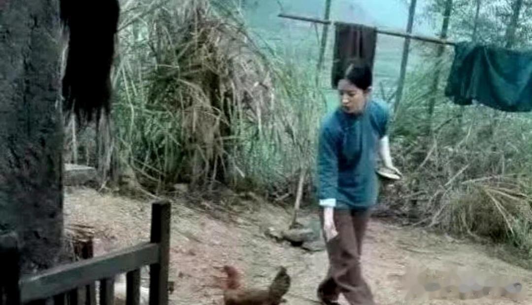 一看刘亦菲就演不了农村妇女，喂鸡是不用追着喂的，懂？