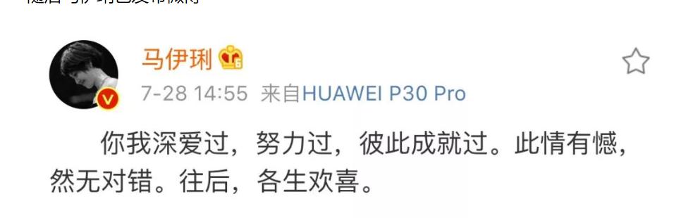 钱再多也没用!向太曝马伊琍已再婚:原来当年文章过不了心里那关