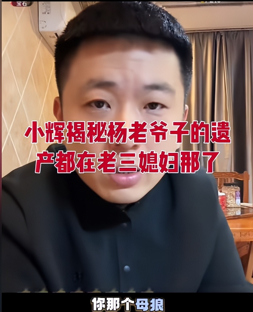 遮羞布撕碎！杨少华尸骨未寒，儿孙为钱撕破脸！杨议只分到骨灰？