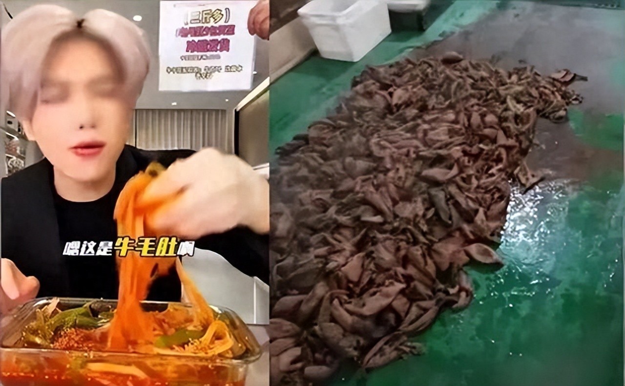 山寨男团塌房记！从碰瓷明星到天价赔偿，乱象背后值得反思