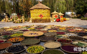 山东51岁男子花65元买下 6 只黄鼠狼后，院子里出现一堆金元宝，谁在报恩？