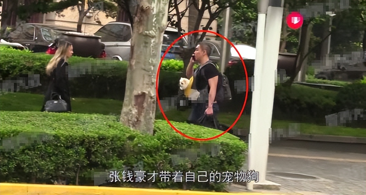 阿sa官宣恋情后，恶心一幕出现，男方被扒底朝天，王子文也被牵连