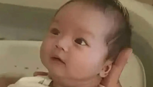 汪小宝满月照在全网萌炸了