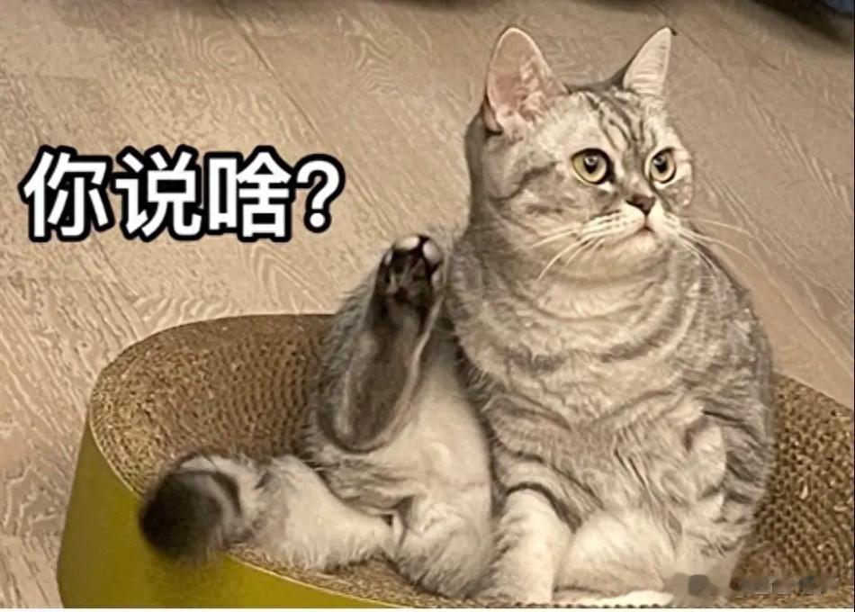 赛琳娜霉霉均陷入“被替换”风波，紧急上节目晒美妆找不同